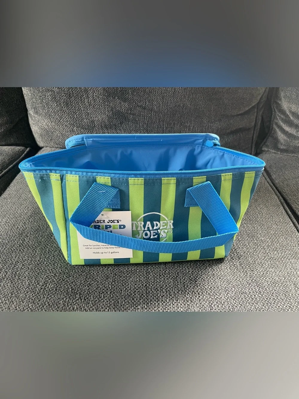Trader Joe's Striped Mini Insulated Bag - Blue & Lime Green